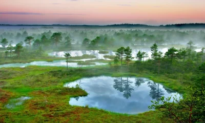 johanlaidoner - Piękna Estonia:

#estonia #podroze #europa #polnoc #swiat