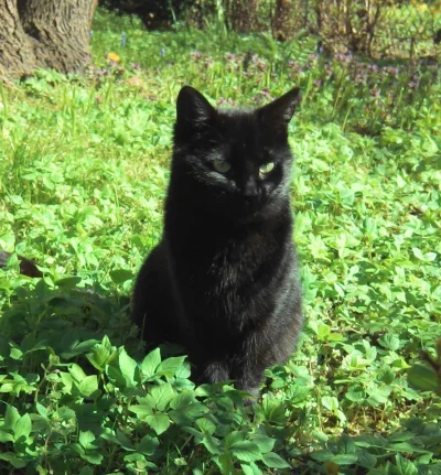 hivonzooo - @tler: ja robię podobnie, jak gdzieś wychodzę zabieram ze sobą przygotowa...