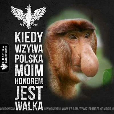 ssoszu - @wondermano1 obowiązek każdego #polak a