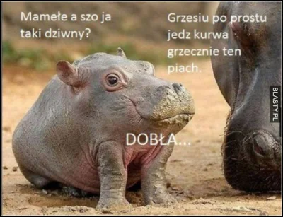 k.....a - @JamesW: to ja pisałem