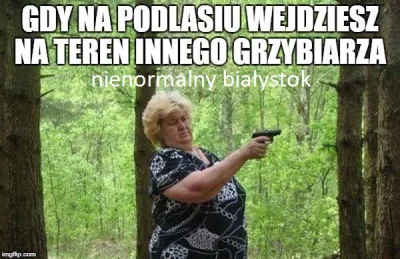 Nienormalnyb - #codzienneszkalowaniepodlasia #podlasie #białystok #grzyby