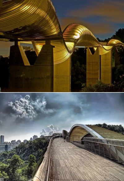 illuminate - Henderson Waves - most dla pieszych w Singapurze #most #mostboners #arch...