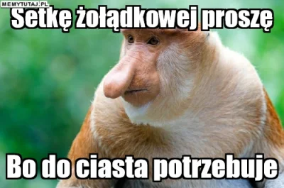 PawelW124 - #humor #heheszki #polak #nosacz #nosaczsundajski #alkohol #memy