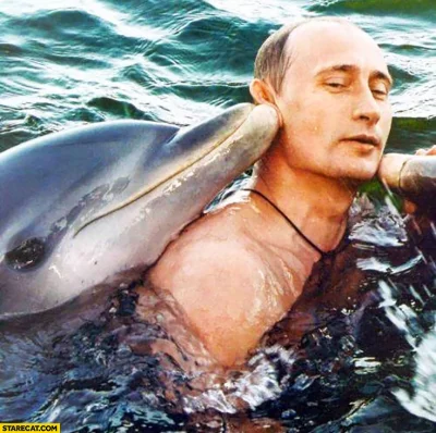 hu-nows - No i wyjdzie na jak, że delfiny to szpiedzy Putina, zwierzaki były pewniejs...