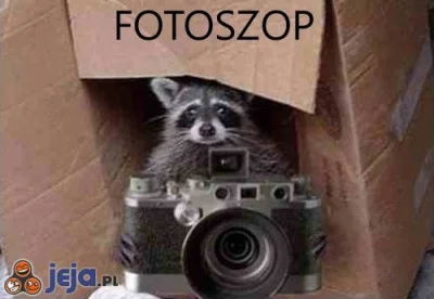 ZbigniewO - @yanosky: Jestem ekspertem. To nie fotoszop, to kobieta.

To jest fotoszo...