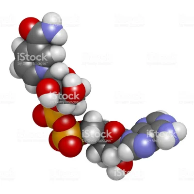 zborecque - Taktyczny fosforan dwunukleotydu nikotynamidoadeninowego.