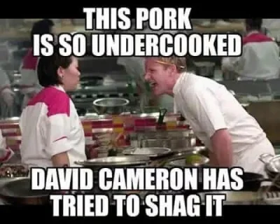 xDawidMx - #humorobrazkowy #heheszki #piggate #hellskitchen #polityka #cameron #gordo...