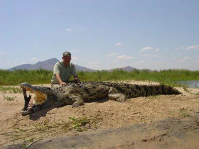 merti - #przyroda #prawodzungli



CO te krokodyle jedzo to ja nie wiem... (+18)