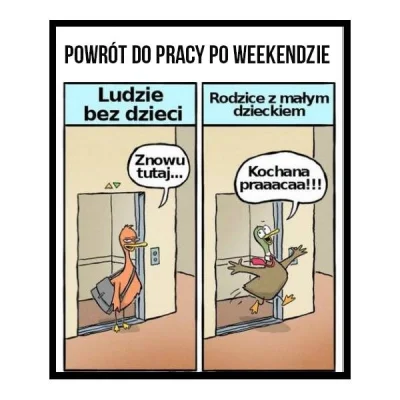 Zdejm_Kapelusz - #humorobrazkowy #pracbaza #kaszojady