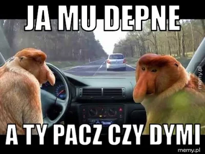 PawelW124 - #humor #heheszki #polak #januszemotoryzacji #cytrynigumiak #nosaczsundajs...