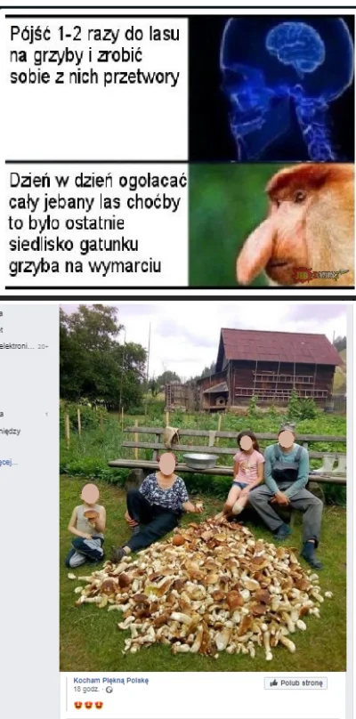 koradek - #heheszki #humorobrazkowy #polska #polak #janusze #las