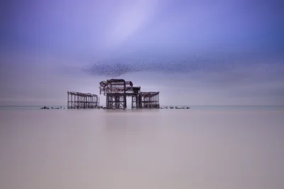 mektoncjusz - Kolejne foto - też West Pier w Brighton - tym razem z ptactwem (szpaki)...