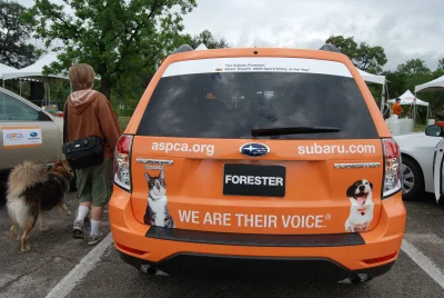 johanlaidoner - Subaru amerykańskiego ASPCA (American Society for the Prevention of C...