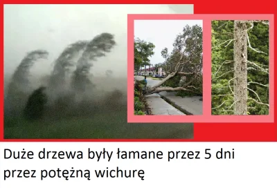 p.....a - ! trzciną zaledwie tylko kołysząc ( ͡° ͜ʖ ͡°)
#poteznygej #heheszki