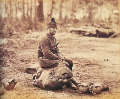 Lizus_Chytrus - > Łowca siedzący na głowie nosorożca, Nepal, 1870r

#ciekawostki #f...