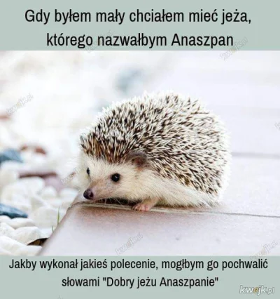 cezeter - #mniesmieszy #heheszki #humorobrazkowy #jeze i trochę #religia Sorry za #kw...