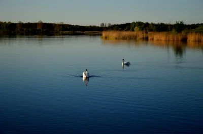 fotografiola - #fotografia #mojezdjecie #tworczoscwlasna #zdjecia #foto #natura #zwie...