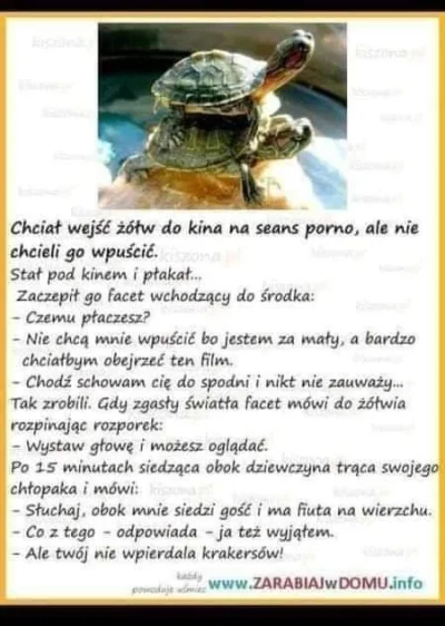 iErdo - Haha

#grazynacore #heheszki #humorobrazkowy