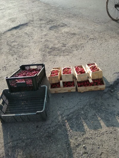 mateusz-zahorski - Mirki sprzedaje sobie czereśnie i truskawki, kupujcie i plusujcie ...