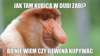 Zodiaque - #kubica #heheszki #f1 

SPOILER
