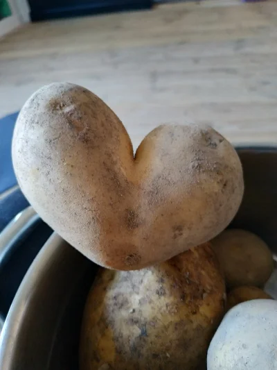 pantasmagoria - Ziemniaki love forever :D
#gotujzwykopem #ziemniakizostaw #ziemniaki ...