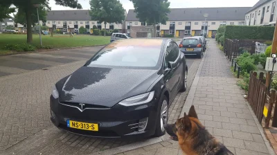 Czupakabra82 - To nowy nabytek mojego sąsiada. Tesla X.