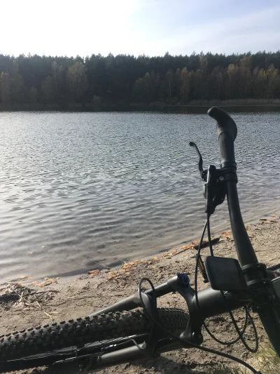 porywacz_zwlok - pięknie dziś na #rower w #las #rowerowypoznan #trek #mtb #puszczazie...