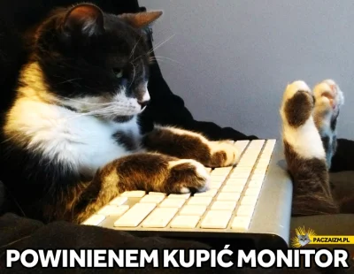 adachoo - #koty #smiesznykotek #zwierzaczki #catmasters #heheszki #humorobrazkowy