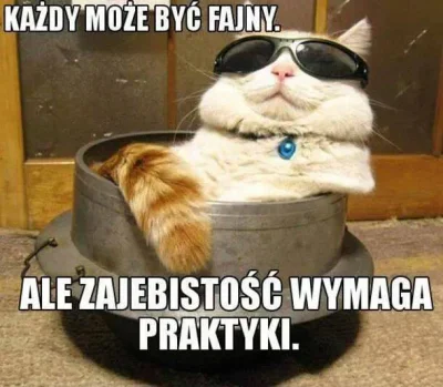 Kempes - #heheszki #koty #zajebistosc