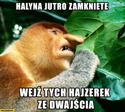 Hatespinner - > Janusz jutro nieczynne, nakup żercia na tydzień.

@tellet: XDD