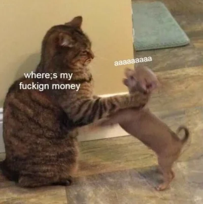 P4uL - Gdzie som piniondze piesł?!