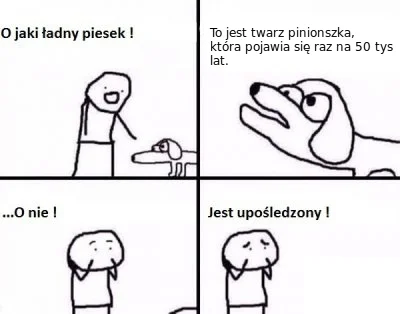 kacperski1 - #heheszki #humorobrazkowy #uposledzonypiesek