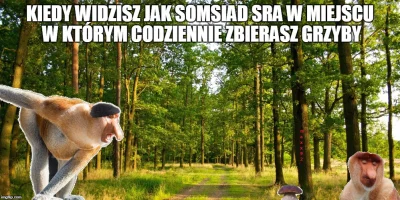 maxx92 - #heheszki #humorobrazkowy #polak #grzyby