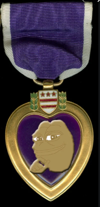 f.....k - Medal Virtuti Stulejari za zasługi dla tagu dla bohatera, który załatwił ba...