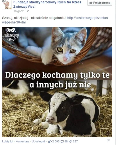 Niepogadam - I że coś takiego się człowiekowi w aktualnościach nagle pojawia...

#r...