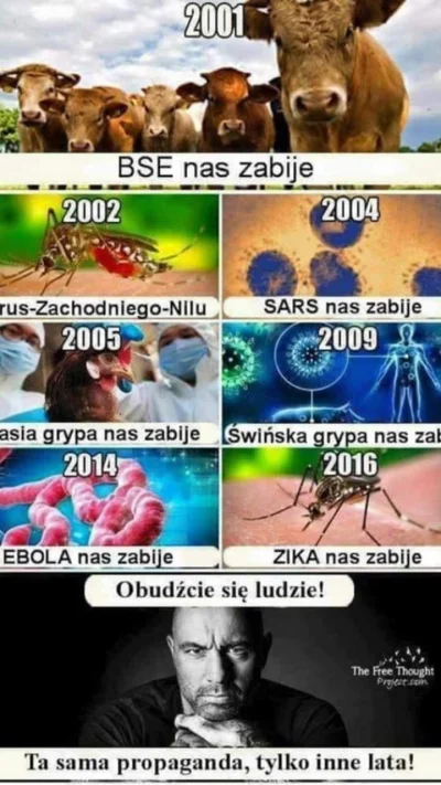 Chlebik - #koronawirus #heheszki #epidemia #wirus