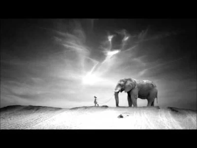 svenHan - Ten Walls - Walking With Elephants [Original Mix]
...a słonie latają.
#mi...