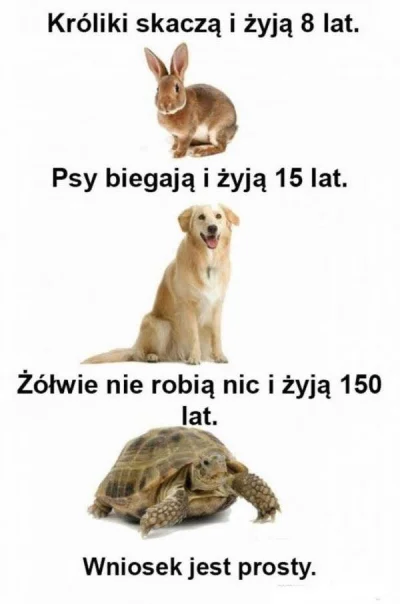 saakaszi - #heheszki #humorobrazkowy #ciekawostki #zwierzaczki