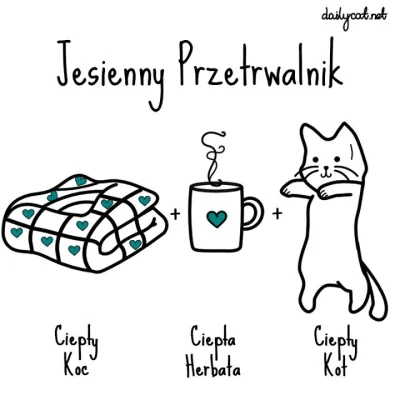 pytaks - #jesien #koty

A na dziś polecam taki zestaw (｡◕‿‿◕｡)