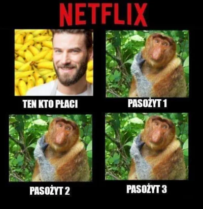 Zarzadca - #polak #nosaczsundajski #humorobrazkowy #netflix