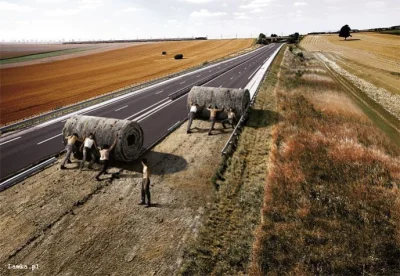 reklamazwykop_market - już wkrótce na A4