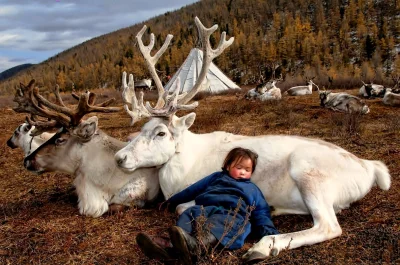 wayrethos - Mongolska dziewczynka śpi spokojnie w obozowisku:
#przyroda #mongolia #z...