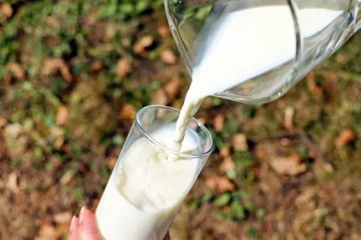 PalNick - #szkolastandard 

Czy picie mleka faktycznie wzmacnia kości?

Przez wie...