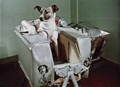travelove - Dzisiejsza rocznica pierwszego lotu psa w kosmos i świetny artykuł do wyk...