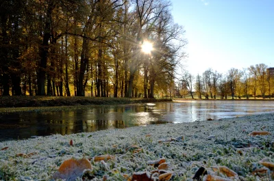 poratujPan - Cześć,
poratuje ktoś jakąś spoko pętlą 50 - 70 km na #rower w #warszawa ...