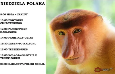 f.....d - miłej niedzieli rodacy #polak #heheszki