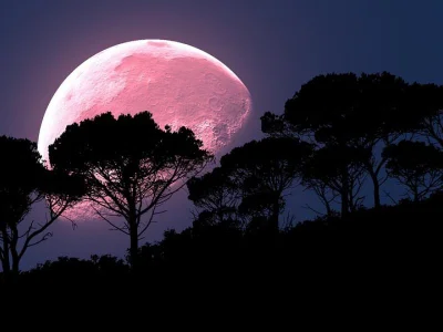 Artktur - Już dziś czerwcowa pełnia Księżyca, która nazywana jest Truskawkowym Księży...