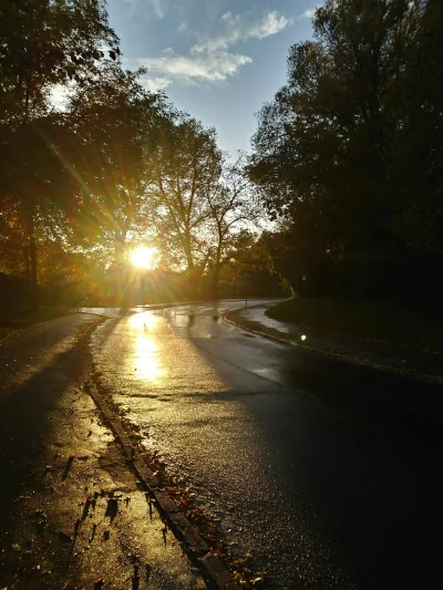 majkL - Chwała teraz tobie, słońce
Odyńcu ty samotny
Co wstajesz rano z trzęsawisk no...