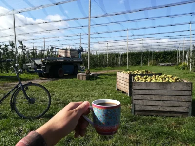 1964 - Rok temu też tu byłem, wczasy pod grusza 2019, piękna sprawa miesiąc urlopu be...