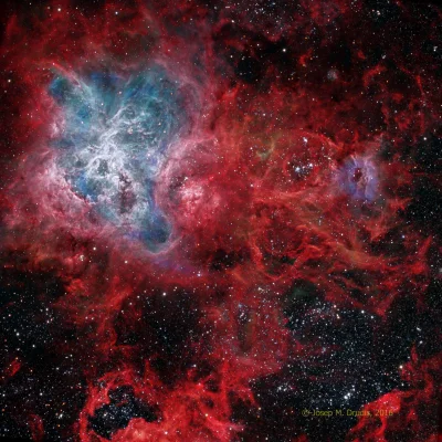 Elthiryel - Mgławica Tarantula to największy region formowania się gwiazd w otoczeniu...